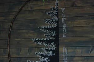 Коттедж Forest hugs. Коттедж 6-местный  18