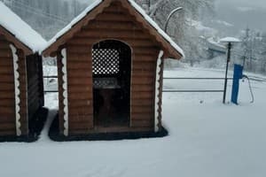 Гірська Роса 4