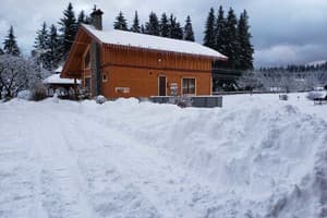 Гірська хатина 19