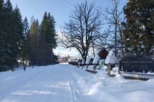 Гірська хатина 20