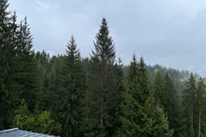 Гостинично-ресторанный комплекс Гірський Континент. Делюкс трехместный  7