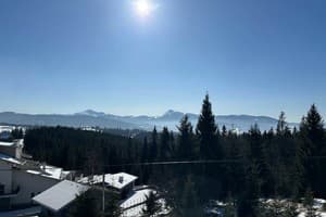 Гостинично-ресторанный комплекс Гірський Континент. Люкс трехместный  7