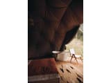 Glamping Mandra Hills 21