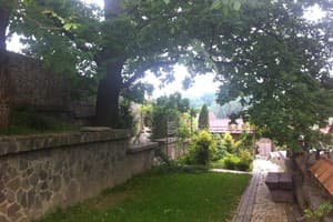 Гнездо Голубки 8