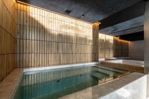 Gold Palace Wellness & Spa 9