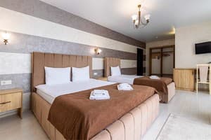 Отель Gold Palace Wellness & Spa. Делюкс трехместный  1