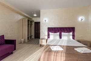 Отель Gold Palace Wellness & Spa. Семейный 4-местный с диваном 4