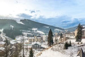 Отель Gold Palace Wellness & Spa. Стандарт трехместный мансардный 7