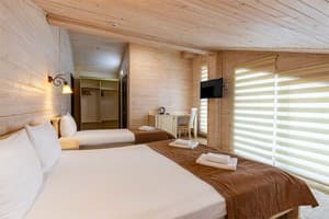 Отель Gold Palace Wellness & Spa. Стандарт трехместный мансардный 3