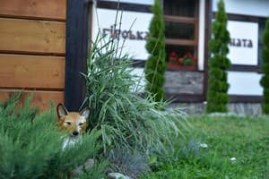 Горная Соната Hotel & Apartments 14