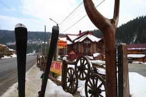 Горный Прутец 19