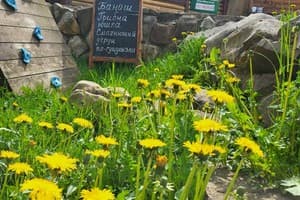 Горный Прутец 15