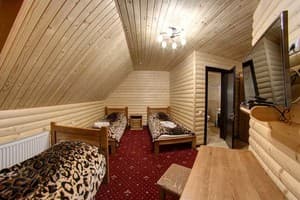Отель Горный кристалл. Стандарт трехместный Мансардный 1