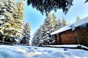 Гостиный двор 19