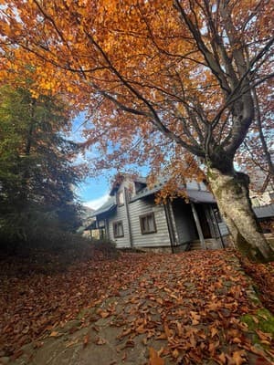 Gray house 15