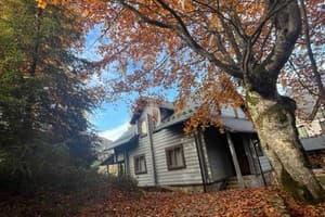 Gray house 15