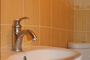 Гуцульська гостинність 1