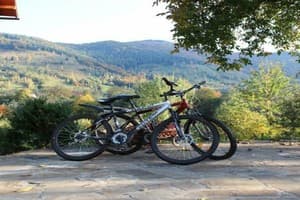 Гуцульская Хата 2