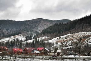 Гуцульські барви 12