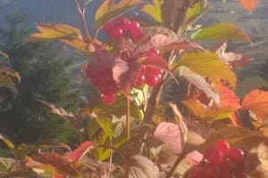 Гуцульский Край 3