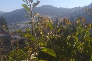 Гуцульский Край 4