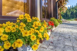 Guest House Turda 28