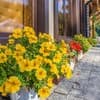 Guest House Turda 28-29/37