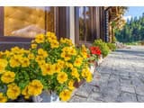 Guest House Turda 28