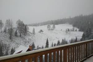 Хата Карпата 1