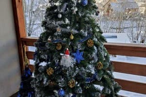 Хата в Карпатах 2