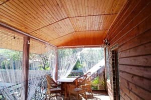 Хата в Карпатах  3