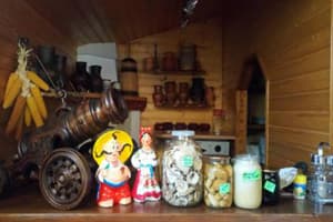 Хатина мисливця 7