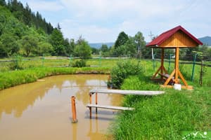 Хатина мисливця 8