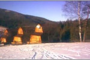 Хатки на пеньках 12