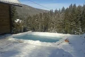 Хатки на пеньках 1