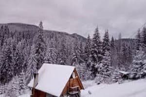 Хатки на пеньках 3