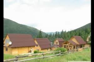 Хатки на пеньках 1