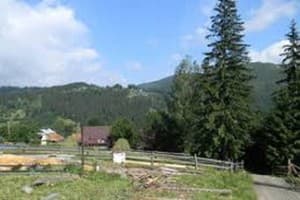 Хатки на пеньках 3