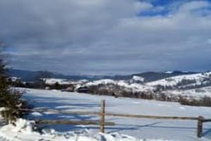 Хатки на пеньках 6