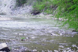 Хижина Гуцула 3