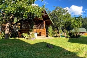 Хорошая хижина 25