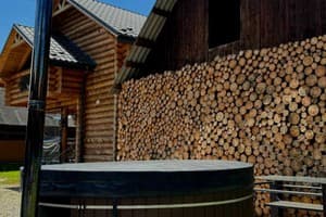 Хорошая хижина 21