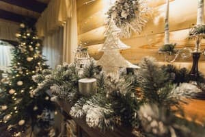 Хутор Солонец 5