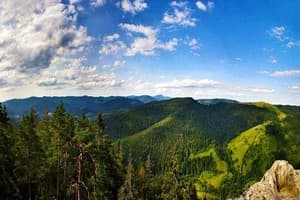 Живая вода 19