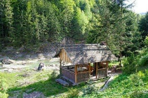 Живая вода 10