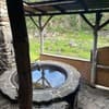 Живая вода 24