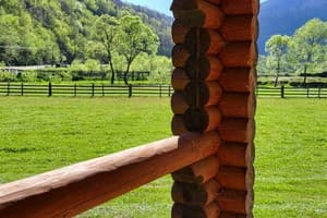 Карпати Fest 7