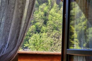 Карпати Fest 9