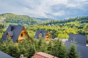 Карпаты Мигово 4