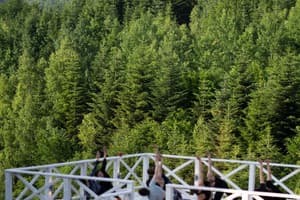 Карпаты Мигово 23